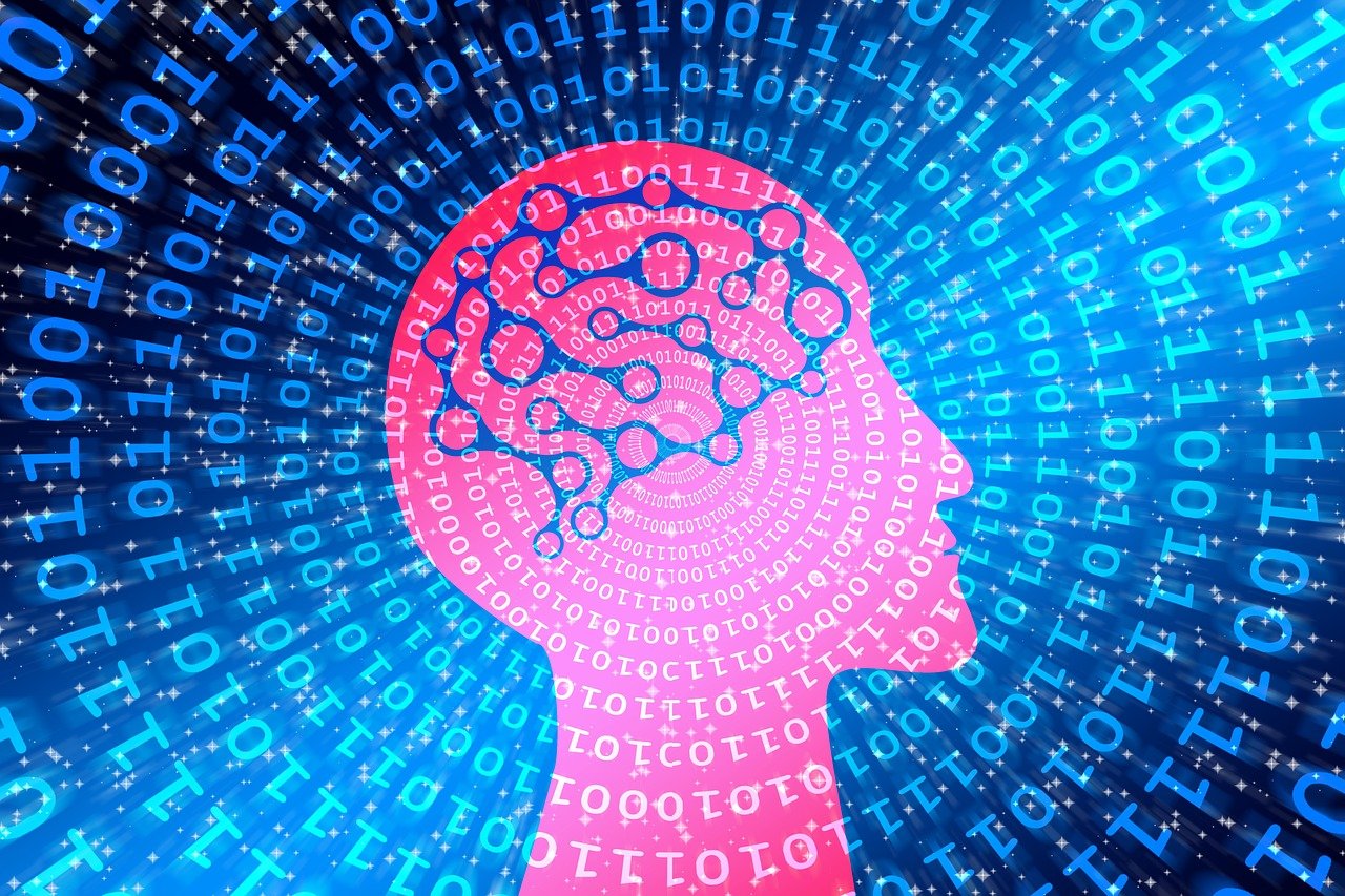 探索数字世界的魅力与机遇，最新3D开奖码揭秘
